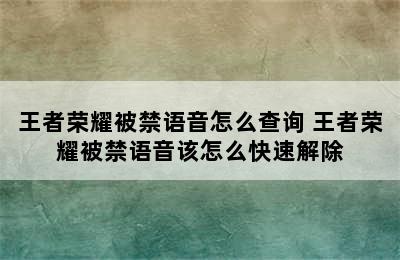 王者荣耀被禁语音怎么查询 王者荣耀被禁语音该怎么快速解除